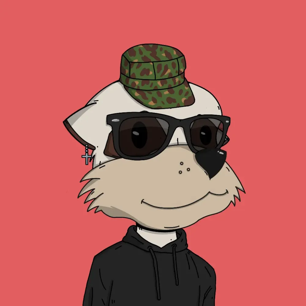 Meerkat #4246