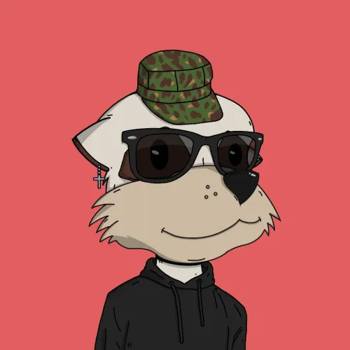 Meerkat #4246