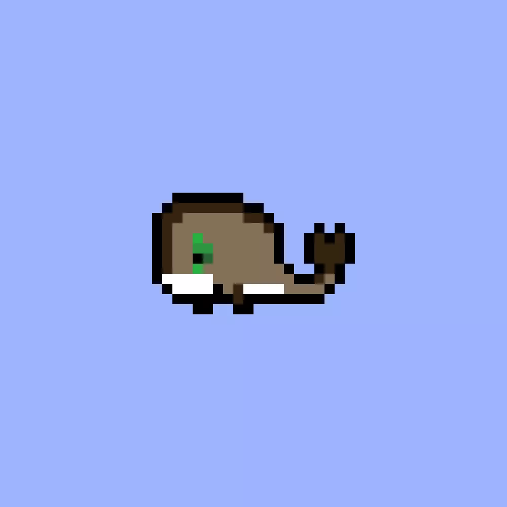 WeirdWhales #2728