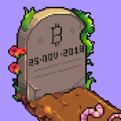 Bitcoin Burial ＃1446 （Inscription ＃9509887）