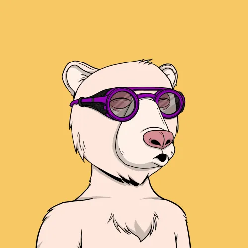 Okay Bear #3879