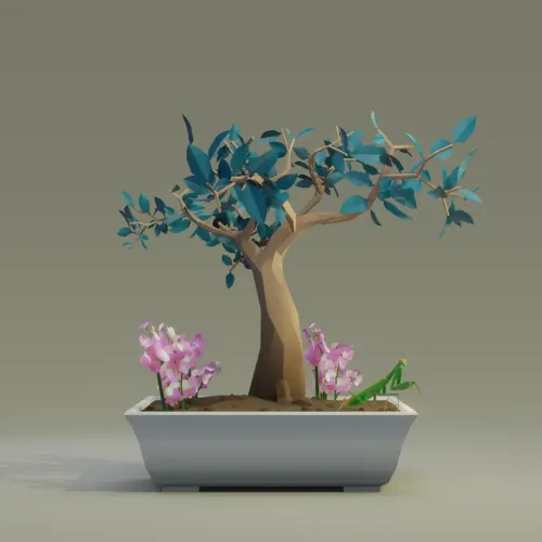 Bonsai #5182