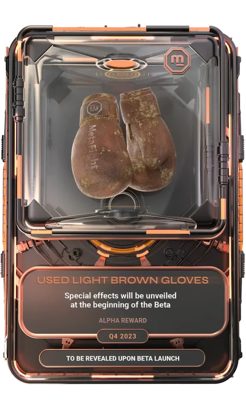 Equipment Card - Training Gloves Used light brown gloves - Q4 2023 - Bronze : 283/300 #186327