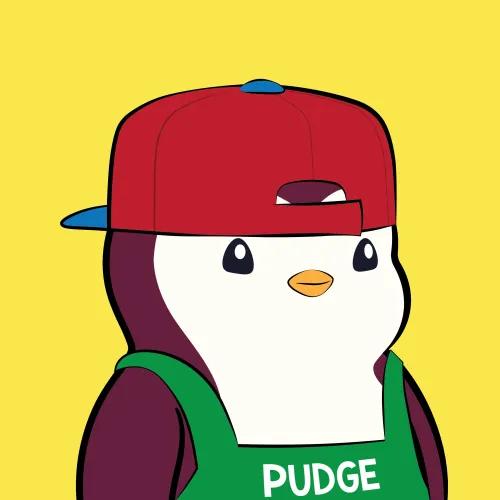 Pudgy Penguin #8527