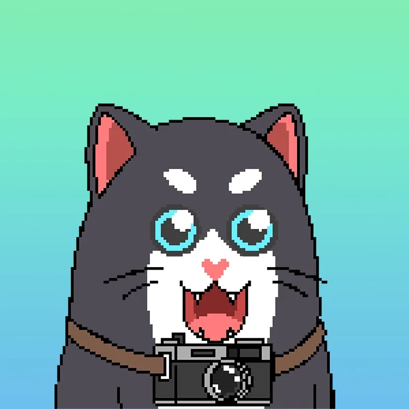 Liberty Cats