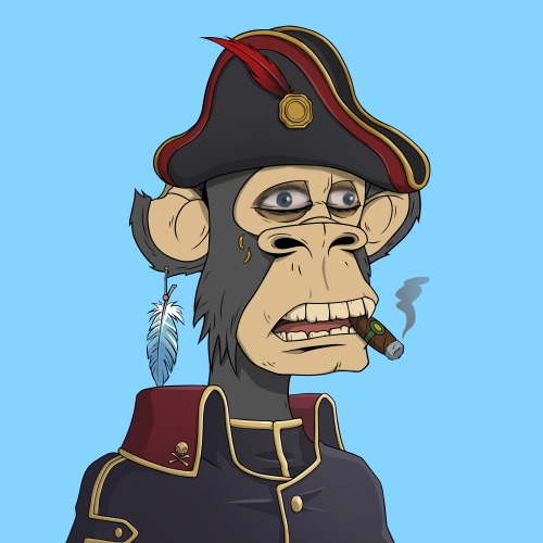 PirateApe #4669