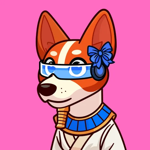 Basenji #890
