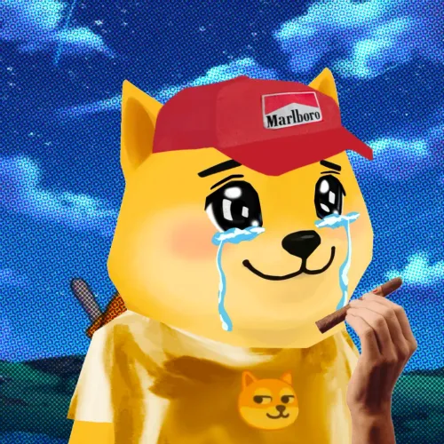 Bonkyo #366