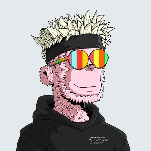 y00t #14790