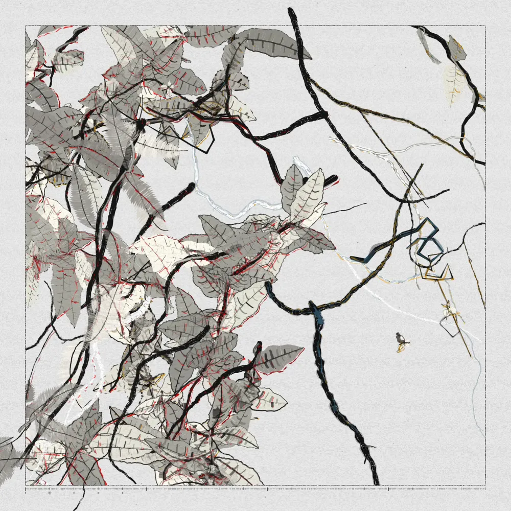 Polypaths | 植徑集 #226