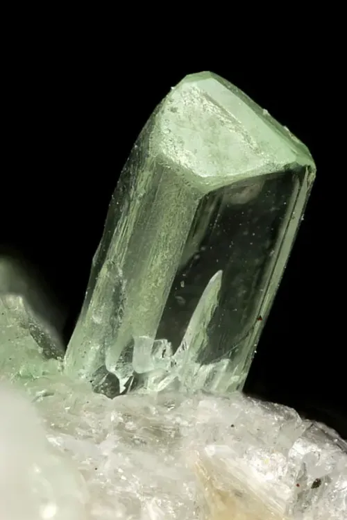 Tremolite (4) #770