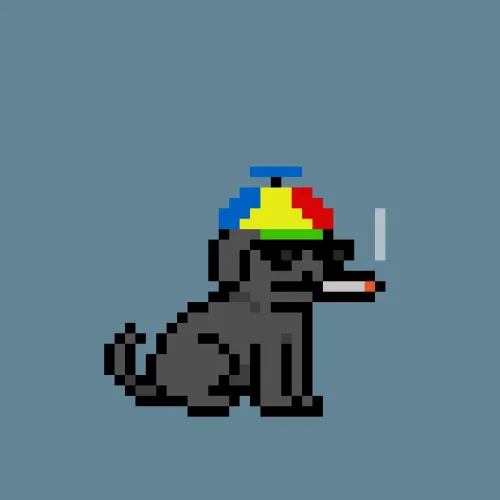 PUPZ #916