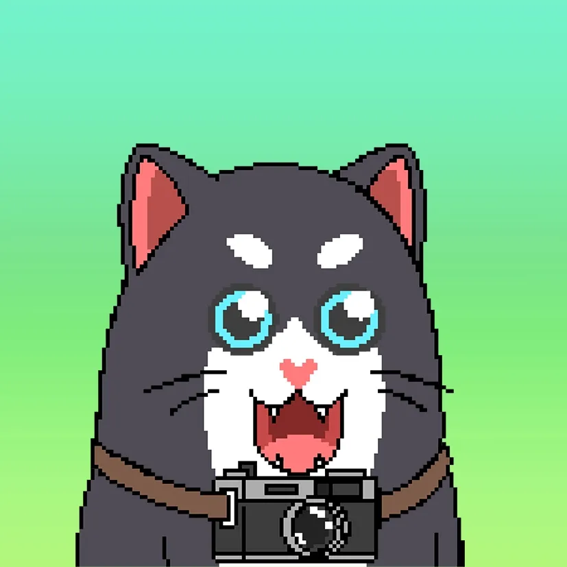 Liberty Cats