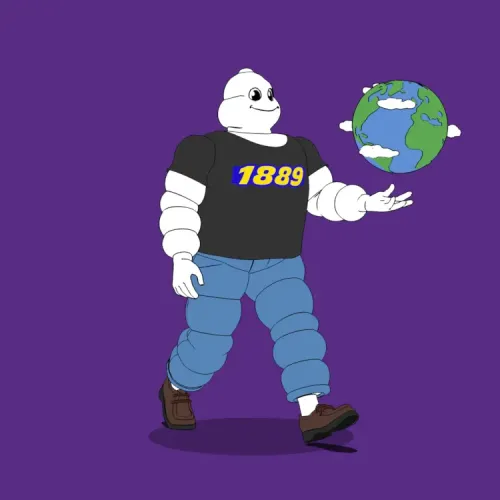 Michelin 3xplorer #894