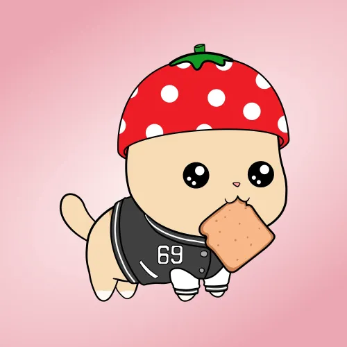 Chubbicat #8879