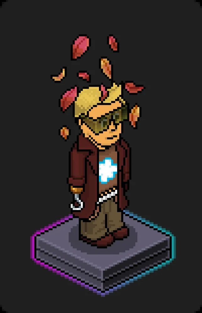 Habbo Crafted Avatar #2073
