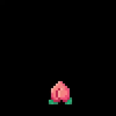 Peach #131