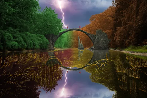 Reflection #424