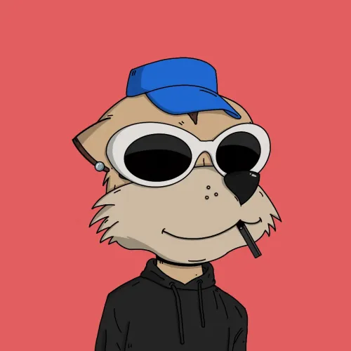 Meerkat #2364