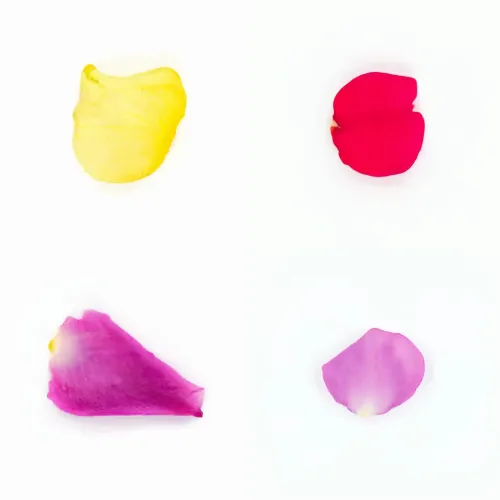Infinite Petals 2x2#3150