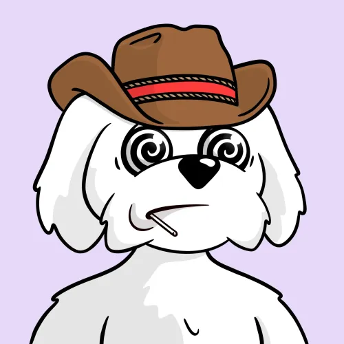 BoDoggos #4968
