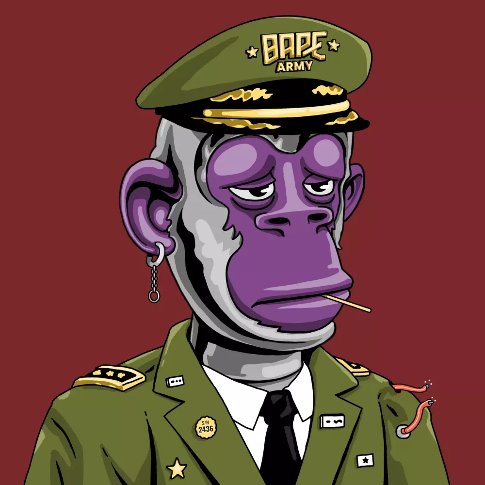 BAPE #2436