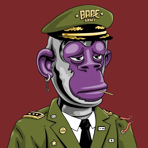 BAPE #2436