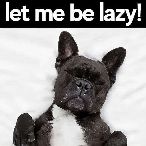 let me be lazy! ＃2