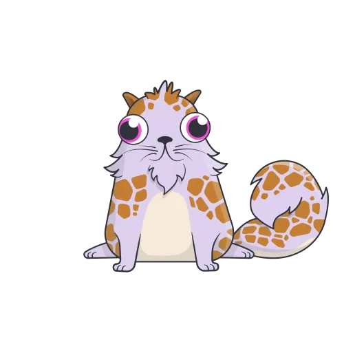 Mainecoon/Jaguar-Wingtips Kid #287594