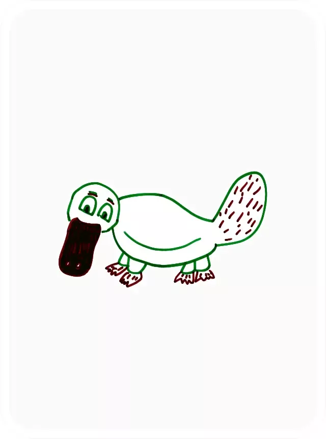 PleasantPlatypus #7273