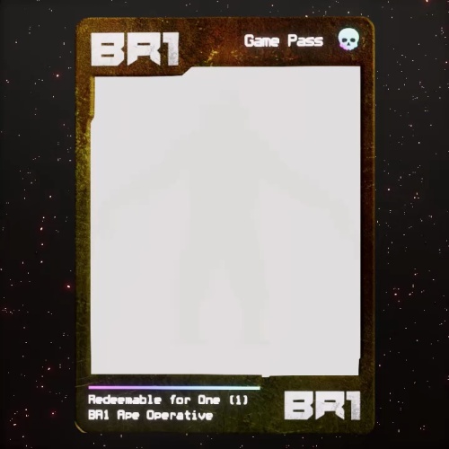 BR1 Character #815