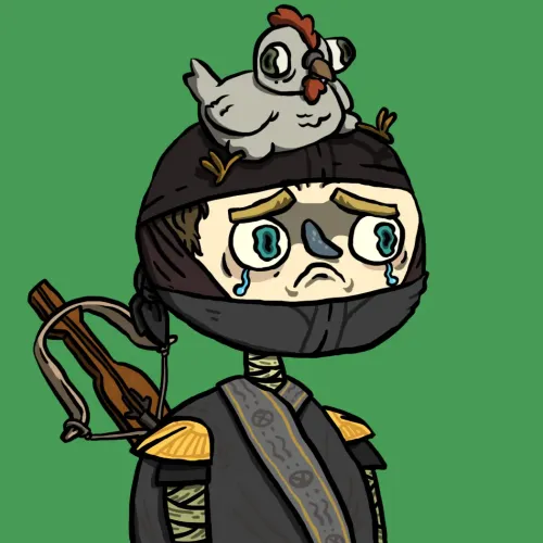 Ninja #2936