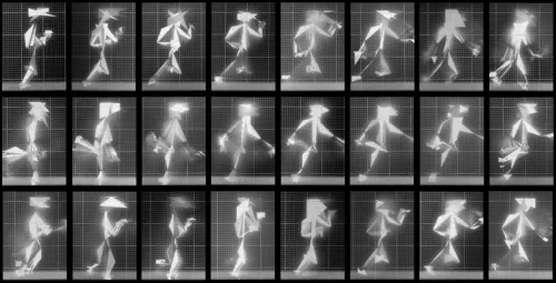 Chronophotograph 141 #141