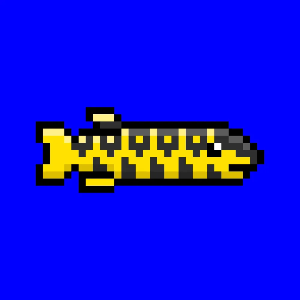 CryptoFish #1169
