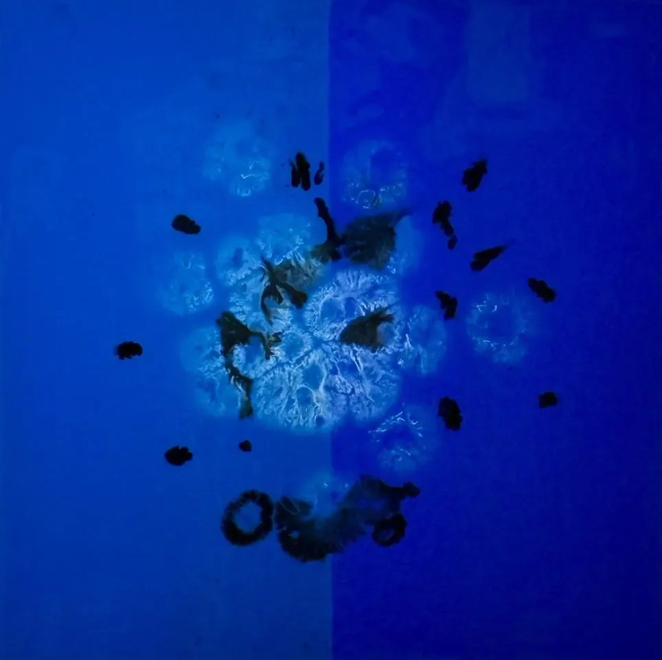 Magic Blue #7