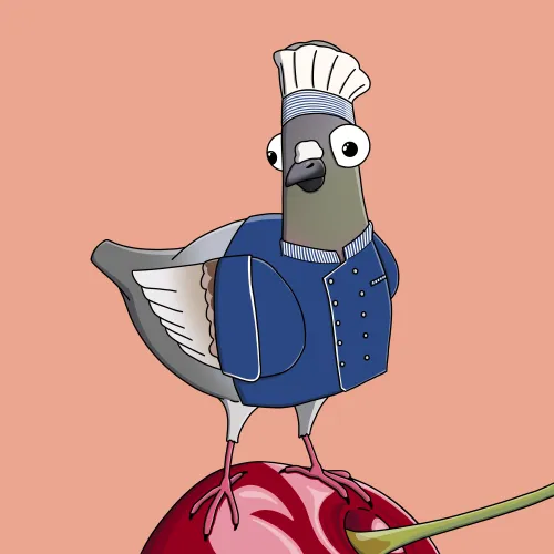 Chef Pigeon #3