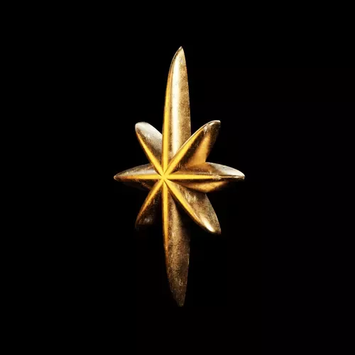 Bronzed Star 1671887003 #637