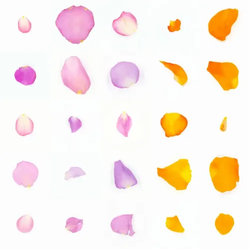 Infinite Petals 5x5#1221