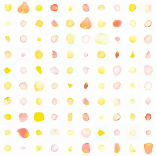 Infinite Petals 10x10#1119