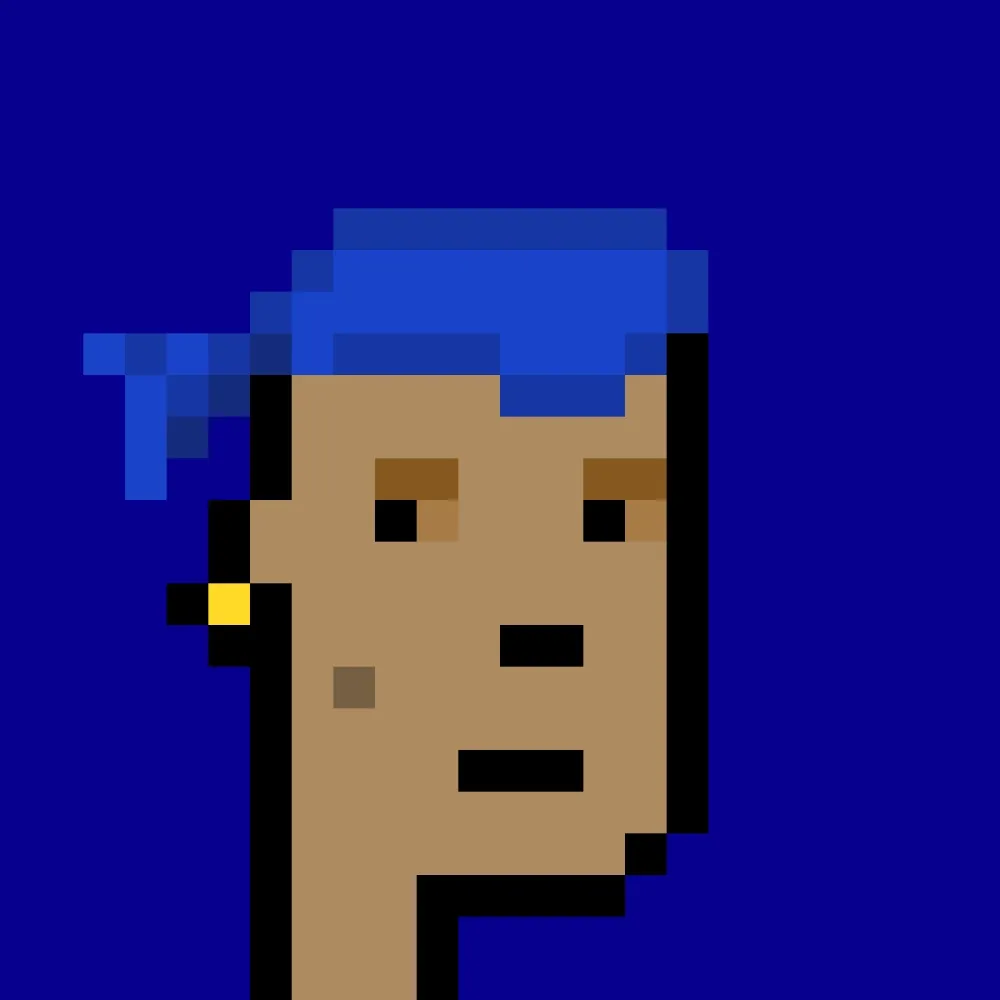 BRC 2.0 PUNK #8339 (#100773359)