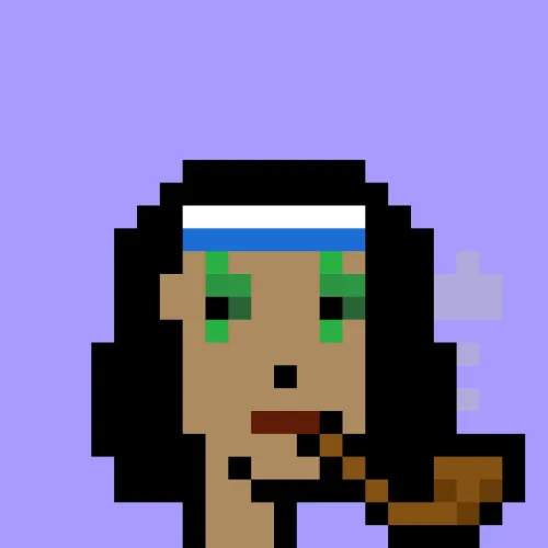 V1 PUNK #7943