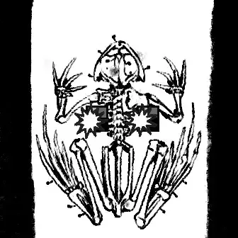 Ordinal Maxi Biz (#83295662)