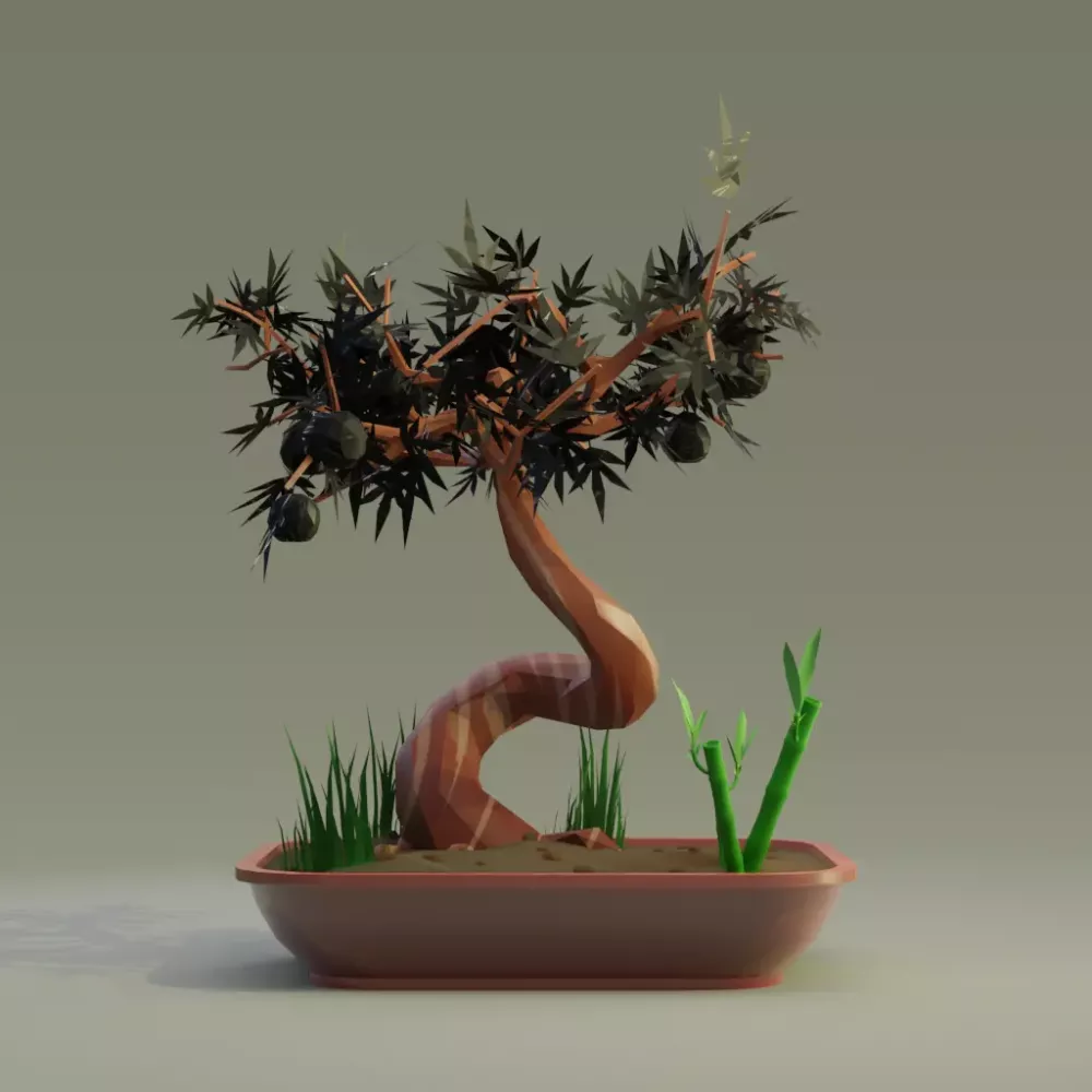 Bonsai #6693