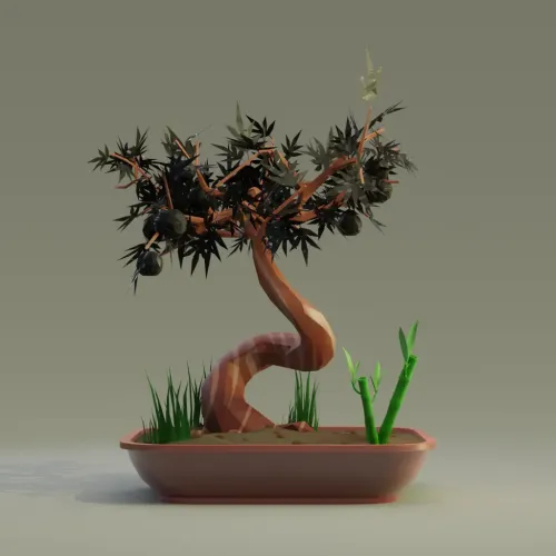 Bonsai #6693