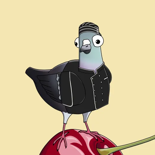 Chef Pigeon #2