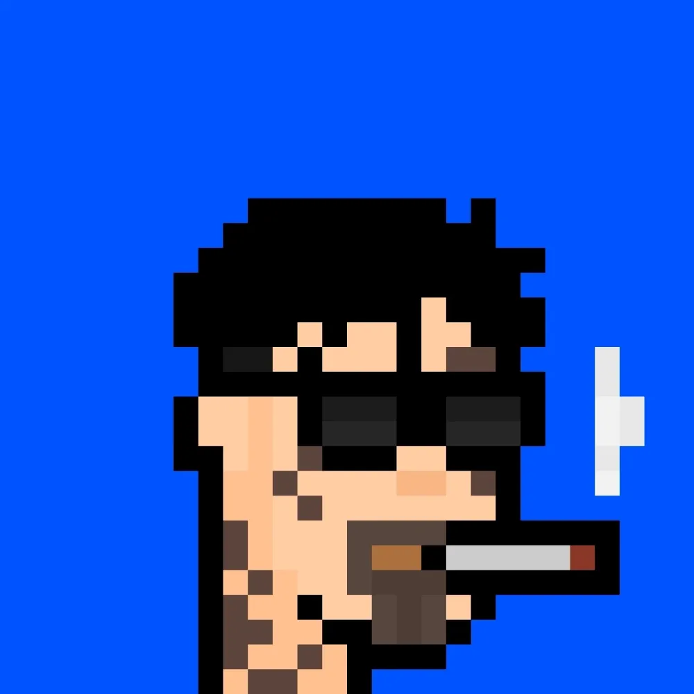 888xPunks #8