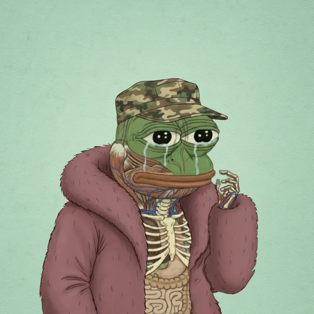 The Anatomy of Pepe #683