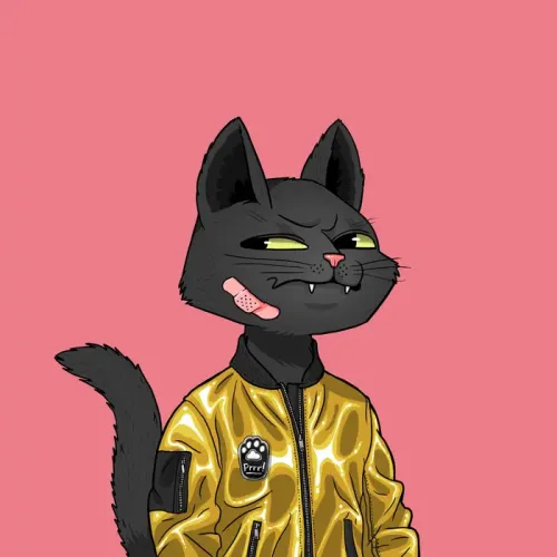 MarsCat #2317