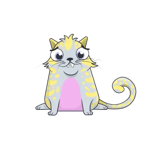 Muschi Queencadabra #1614810