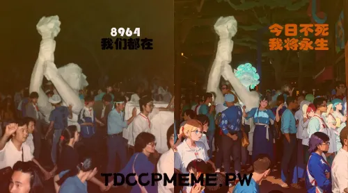TXT08_8964_260